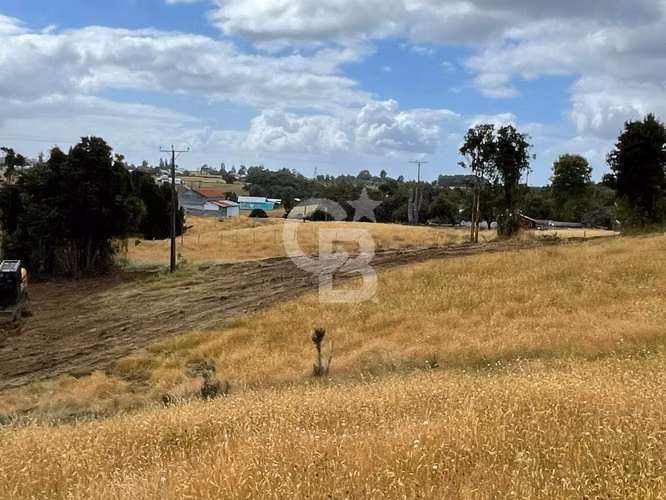 Campo en Chiloé: Ideal Proyecto Condominio, Sin Comisión