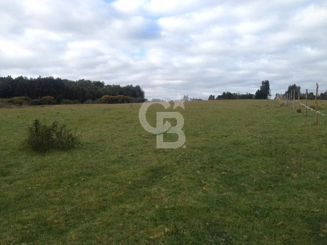 Campo en Chiloé: Ideal Proyecto Condominio, Sin Comisión