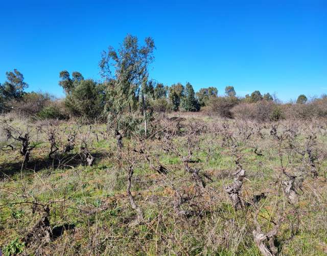 Terreno en San Javier - Imagen 4