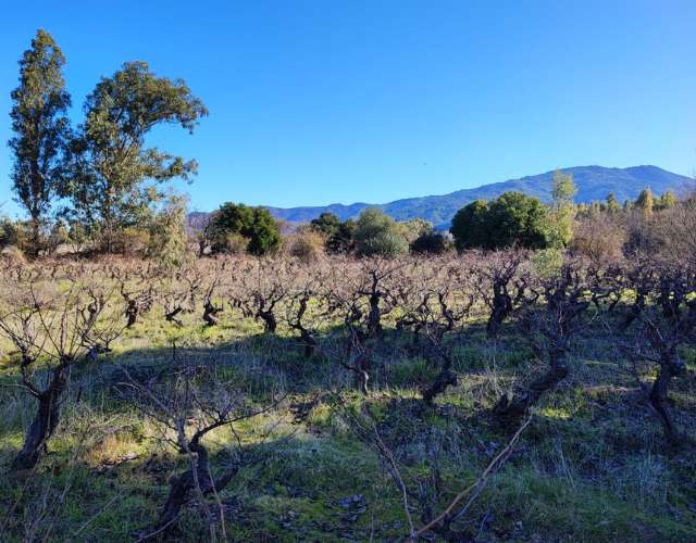 Terreno en San Javier - Imagen 3