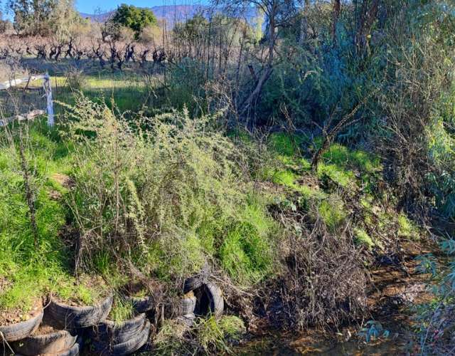 Venta de terreno en San Javier (sector carrizal) - Imagen 7