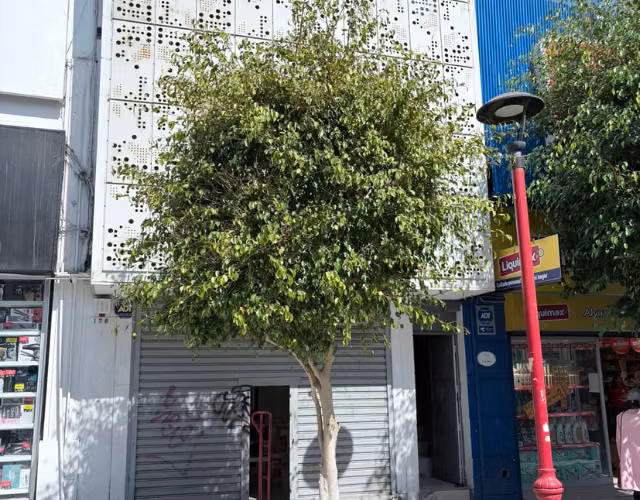 Local comercial en arriendo
