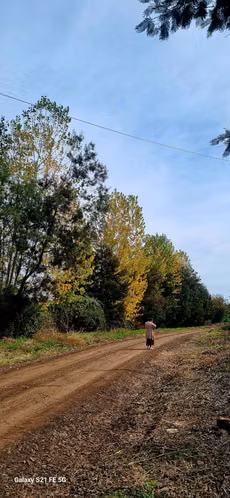 Venta Parcelas - San Carlos Ñuble