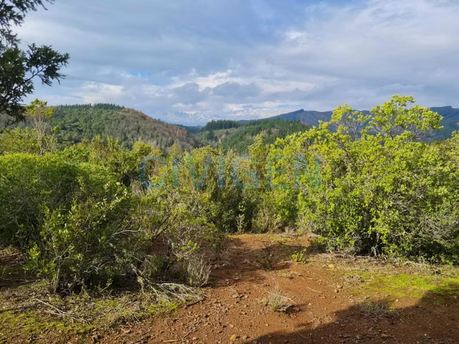 Cerca del Ancoa/Achibueno 5000m2 (180816)