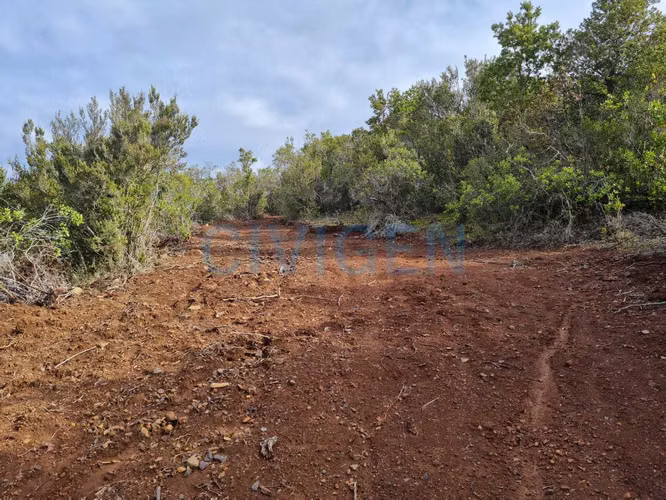 Cerca del Ancoa/Achibueno 5000m2 (180816)