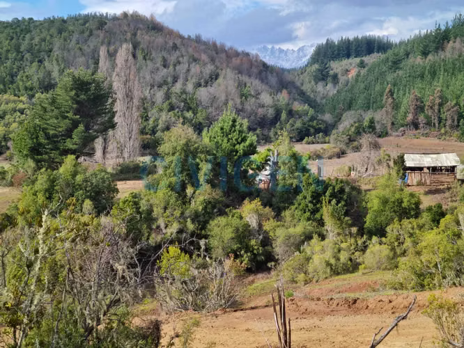 Cerca del Ancoa/Achibueno 5000m2 (180816)
