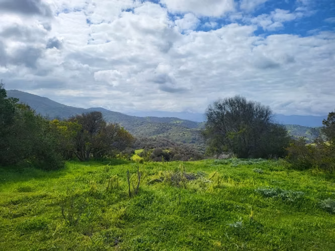Sitios Santa Rosa de Cachagua