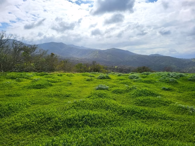 Sitios Santa Rosa de Cachagua
