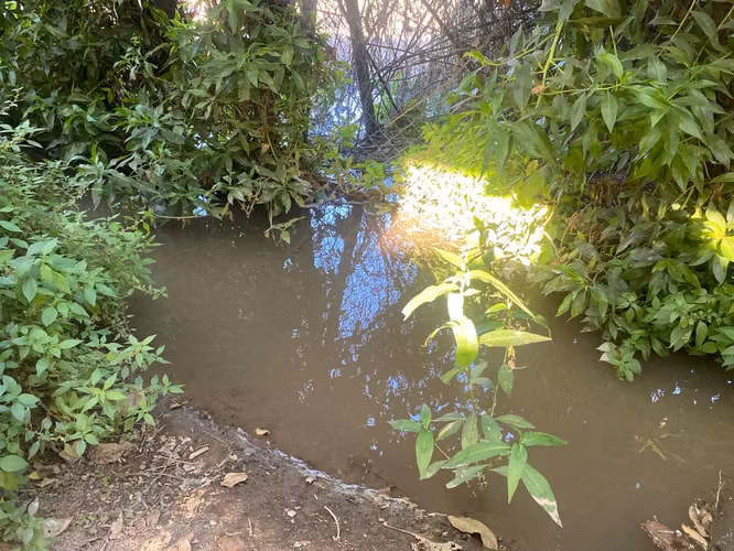 VENTA CASA 4HAB 2BA PEÑAFLOR