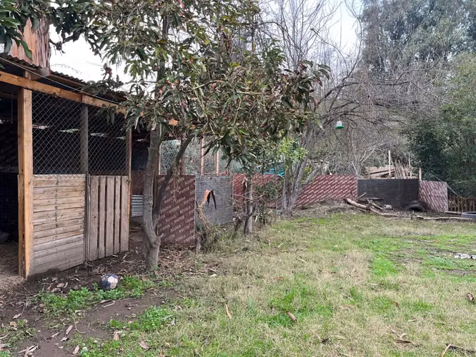 ARRIENDO CASACON AMPLIO SITIO BUIN VILLASECA MOLINO - Imagen 3