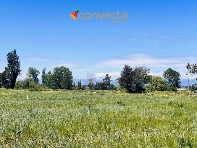 Agrícola en venta en Futalefu