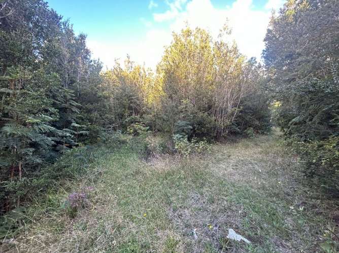Parcela en venta | Orillas del Lago Chapo - Imagen 13