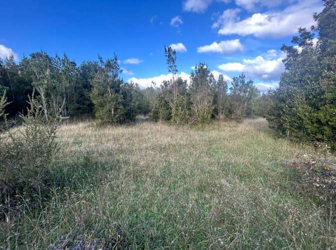 Parcela en venta | Orillas del Lago Chapo - Imagen 16