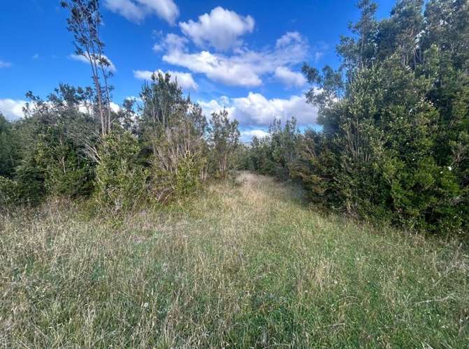 Parcela en venta | Orillas del Lago Chapo - Imagen 15