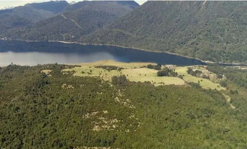 Parcela en venta | Orillas del Lago Chapo - Imagen 3