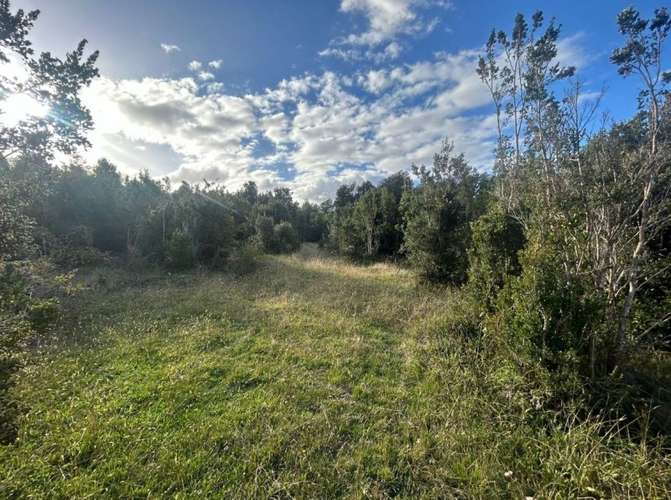 Parcela en venta | Orillas del Lago Chapo - Imagen 17