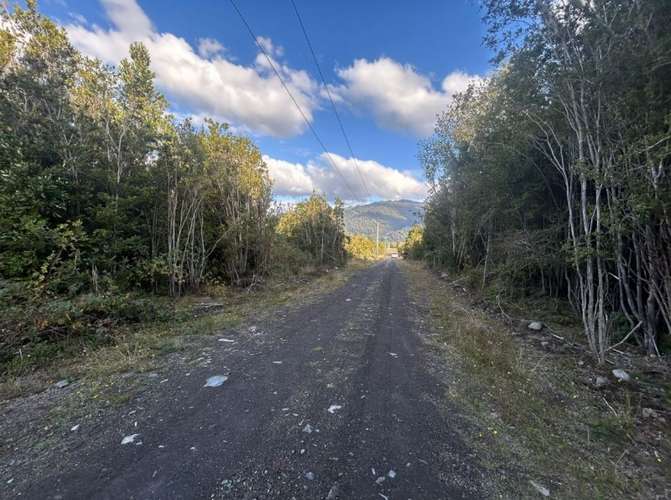 Parcela en venta | Orillas del Lago Chapo - Imagen 14