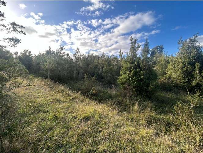 Parcela en venta | Orillas del Lago Chapo - Imagen 11