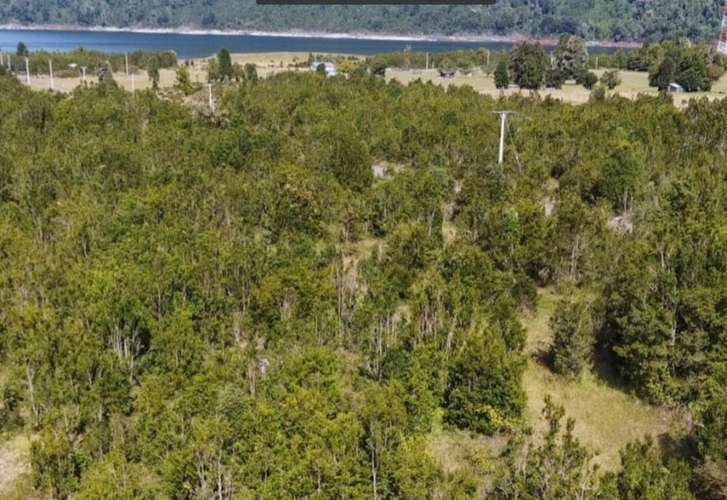 Parcela en venta | Orillas del Lago Chapo - Imagen 5