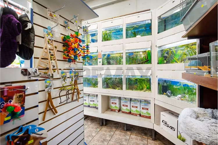 Venta derecho de llave pet shop, mall apumanque - Imagen 10