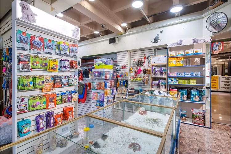 Venta derecho de llave pet shop, mall apumanque - Imagen 12