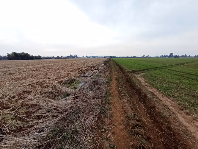TERRENO AGRÍCOLA EN VENTA, CAMPO DE 21 HA, SAN CLEMENTE - Imagen 9