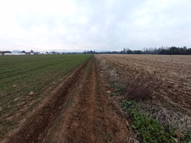 TERRENO AGRÍCOLA EN VENTA, CAMPO DE 21 HA, SAN CLEMENTE - Imagen 17