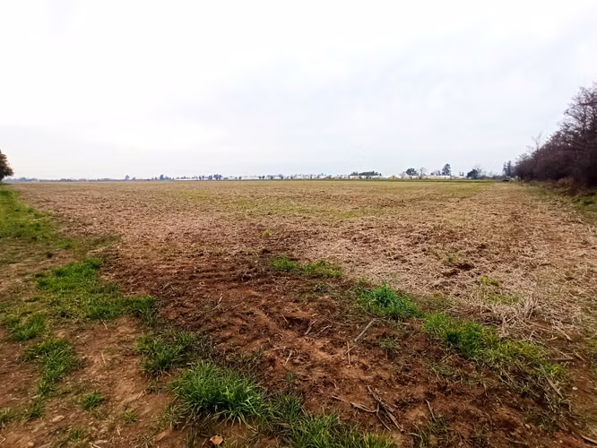TERRENO AGRÍCOLA EN VENTA, CAMPO DE 21 HA, SAN CLEMENTE - Imagen 6