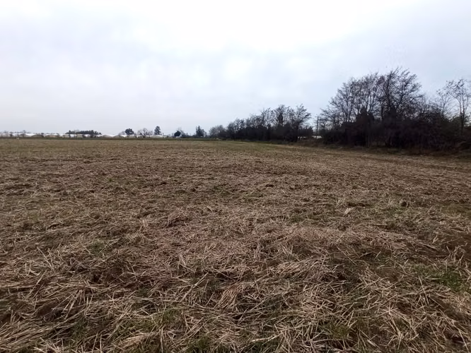 TERRENO AGRÍCOLA EN VENTA, CAMPO DE 21 HA, SAN CLEMENTE - Imagen 4