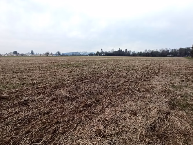 TERRENO AGRÍCOLA EN VENTA, CAMPO DE 21 HA, SAN CLEMENTE - Imagen 10