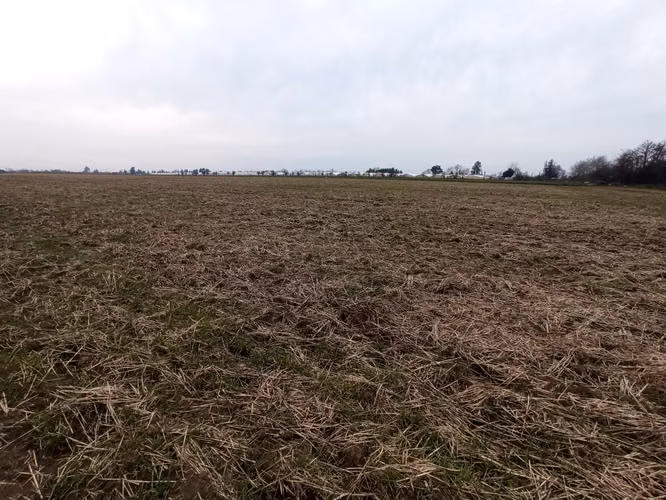 TERRENO AGRÍCOLA EN VENTA, CAMPO DE 21 HA, SAN CLEMENTE - Imagen 12