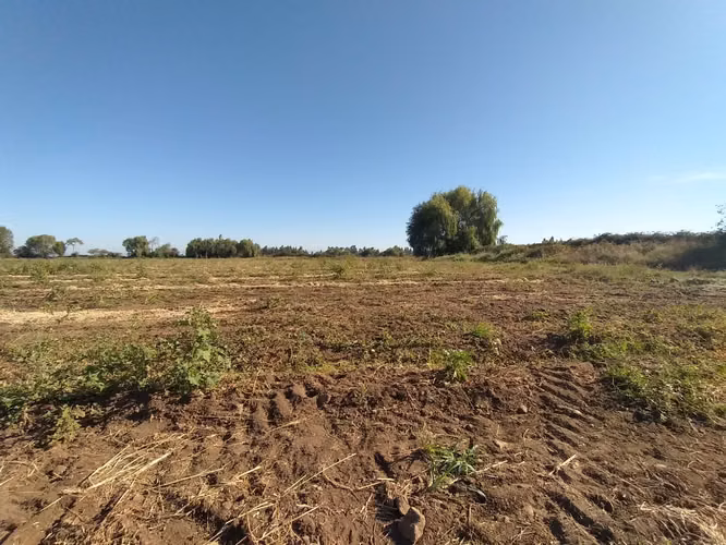 TERRENO AGRÍCOLA EN VENTA, CAMPO DE 60 HA, TENO - Imagen 11