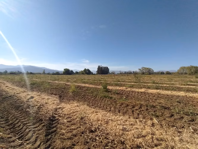 TERRENO AGRÍCOLA EN VENTA, CAMPO DE 60 HA, TENO - Imagen 2