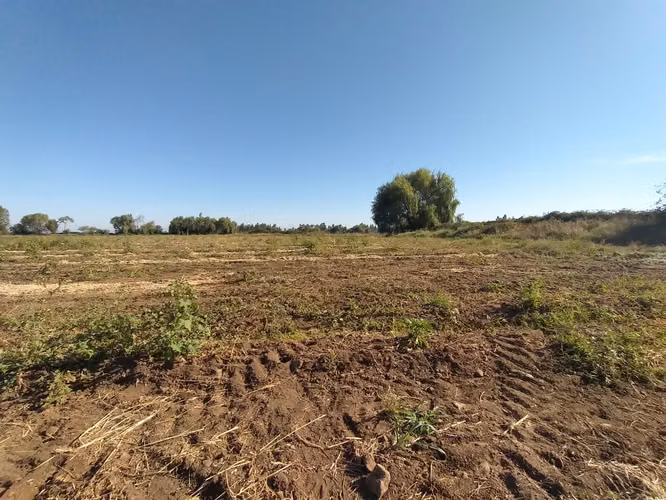 TERRENO AGRÍCOLA EN VENTA, CAMPO DE 60 HA, TENO - Imagen 7