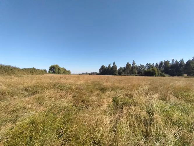 TERRENO AGRÍCOLA EN VENTA, CAMPO DE 60 HA, TENO - Imagen 23