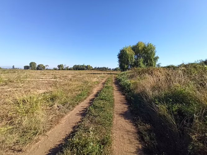 TERRENO AGRÍCOLA EN VENTA, CAMPO DE 60 HA, TENO - Imagen 22