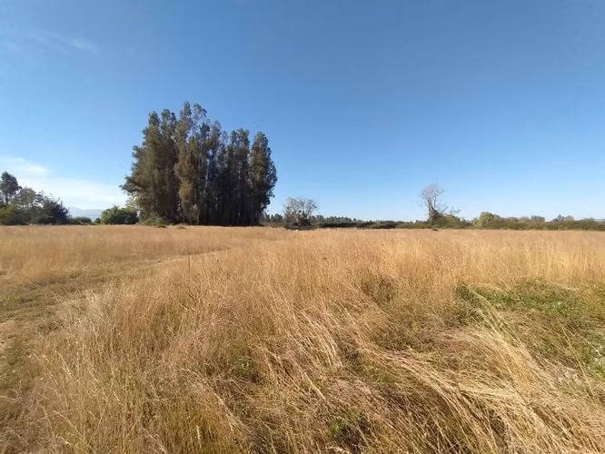 TERRENO AGRÍCOLA EN VENTA, CAMPO DE 60 HA, TENO - Imagen 26