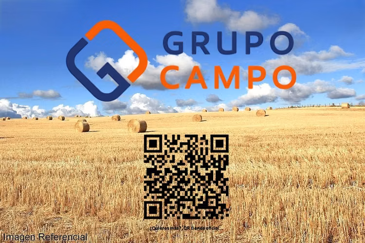 TERRENO AGRÍCOLA EN VENTA, CAMPO DE 60 HA, TENO - Imagen 29