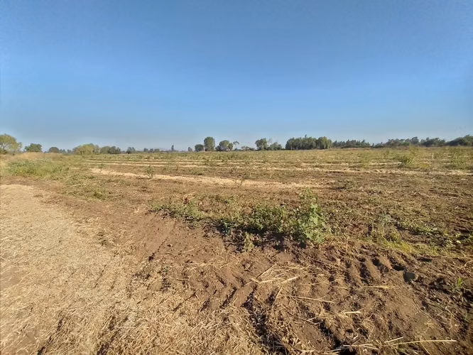 TERRENO AGRÍCOLA EN VENTA, CAMPO DE 60 HA, TENO - Imagen 4