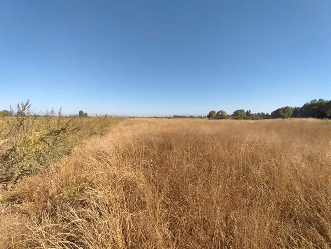 TERRENO AGRÍCOLA EN VENTA, CAMPO DE 60 HA, TENO - Imagen 9