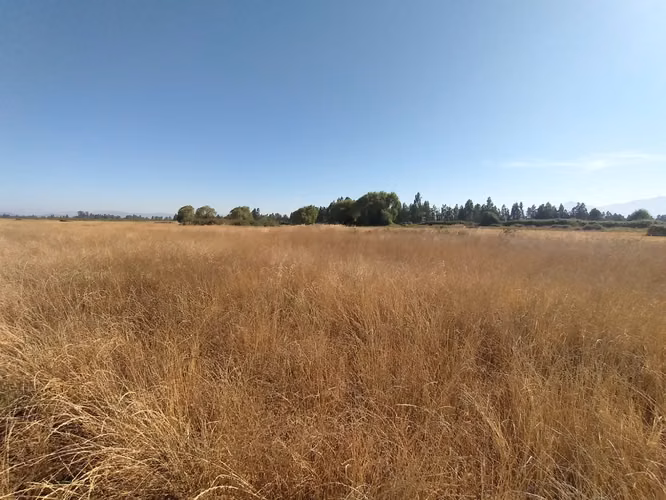 TERRENO AGRÍCOLA EN VENTA, CAMPO DE 60 HA, TENO - Imagen 24