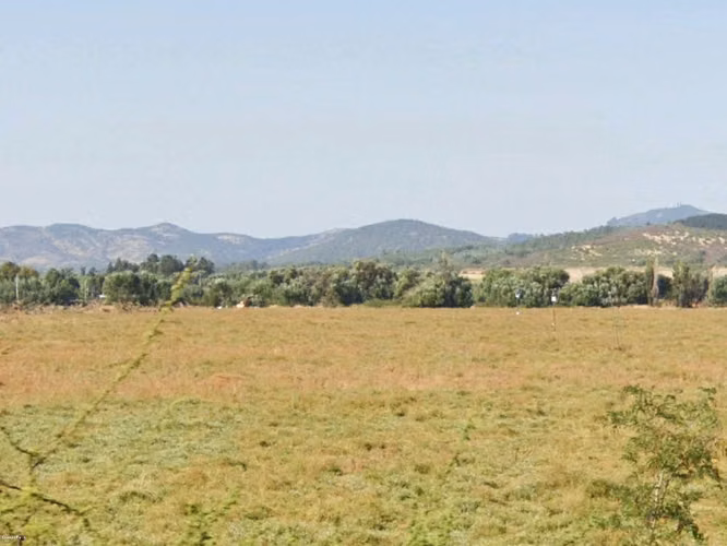 TERRENO AGRÍCOLA EN VENTA, CAMPO DE 49 HA, SAN JAVIER - Imagen 8