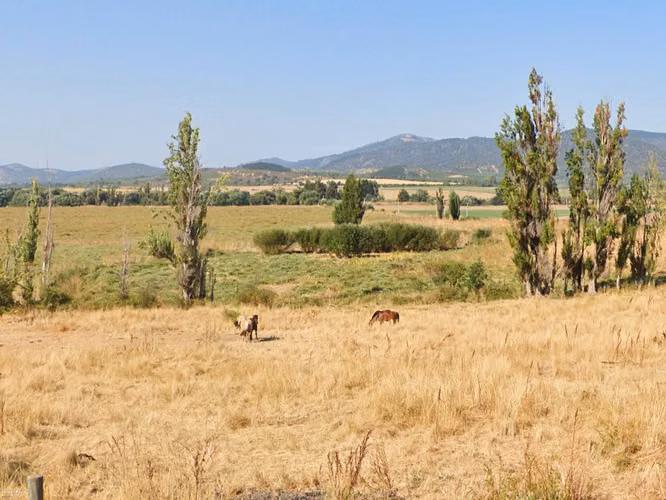 PROPIEAD AGRÍCOLA EN VENTA, CAMPO DE 49 HA, SAN JAVIER