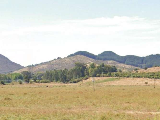 CAMPO, AGRÍCOLA EN VENTA, 49 HA, SAN JAVIER