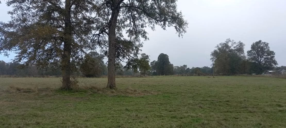 PARCELA AGRÍCOLA DE 4,7 HA EN PURRANQUE-FRUTILLAR