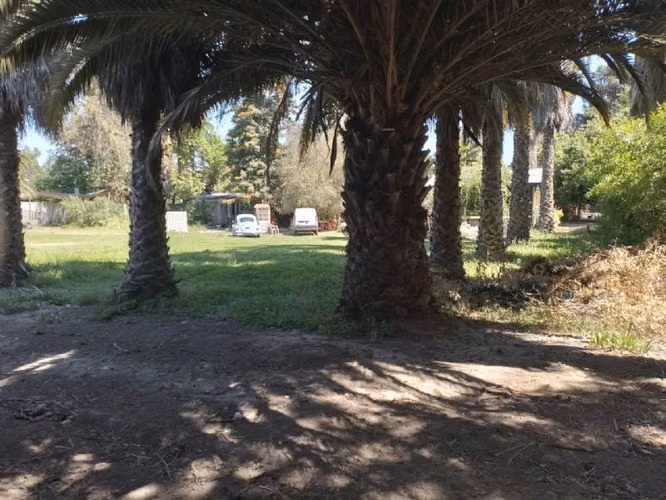 3900M2 SITIO URBANO EN BUIN PARA  DE PROYECTO INMOBILIARIO - Imagen 2