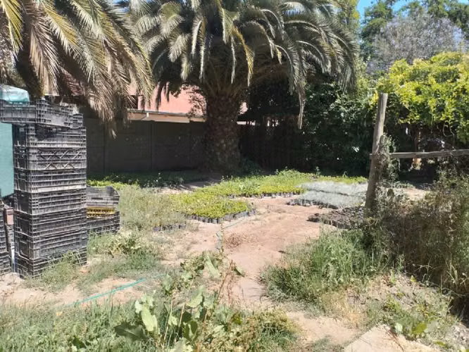3900M2 SITIO URBANO EN BUIN PARA  DE PROYECTO INMOBILIARIO - Imagen 4
