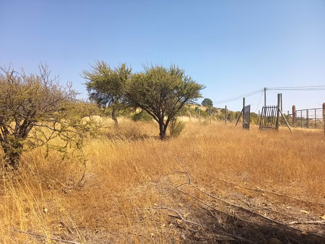 OPORTUNIDAD PARCELA EN PERALILLO 5000 M2