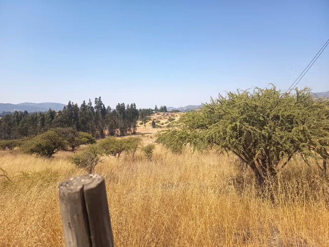 OPORTUNIDAD PARCELA EN PERALILLO 5000 M2
