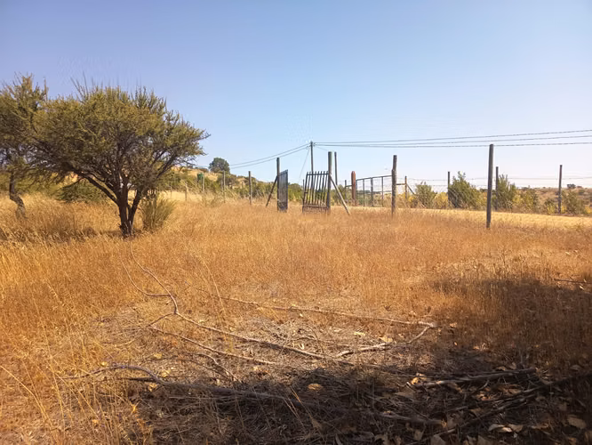 OPORTUNIDAD PARCELA EN PERALILLO 5000 M2
